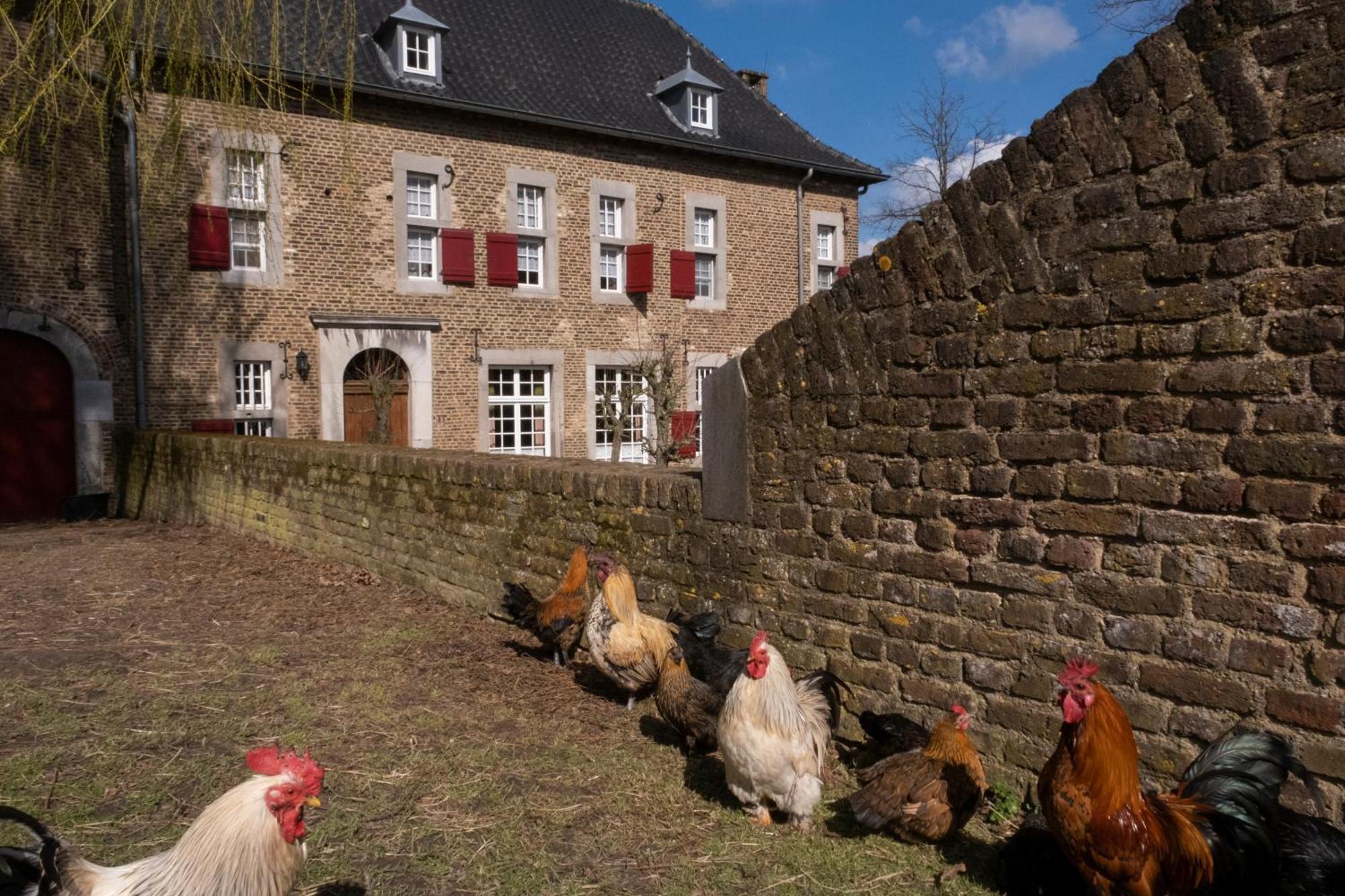 إيجسدين Meschermolen, Overnachten In De Schuur المظهر الخارجي الصورة